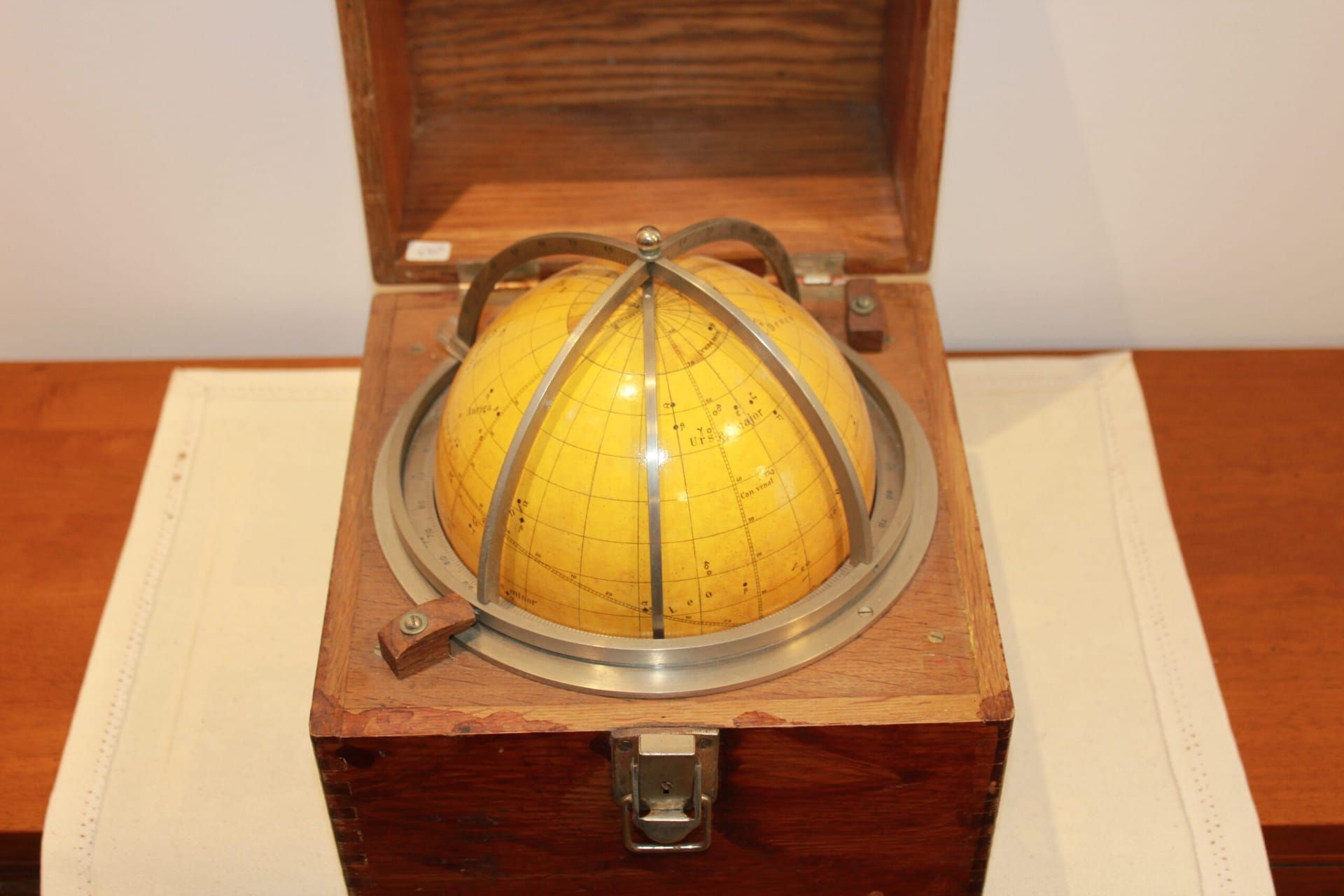 Navisphere tete de veau